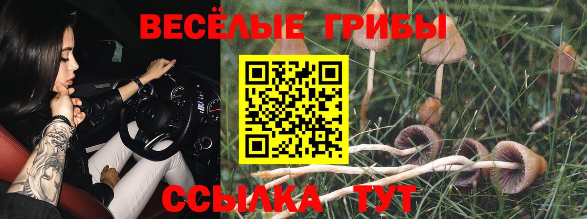 Псилоцибиновые грибы MAGIC MUSHROOMS  Вход с VPN  Котовск 